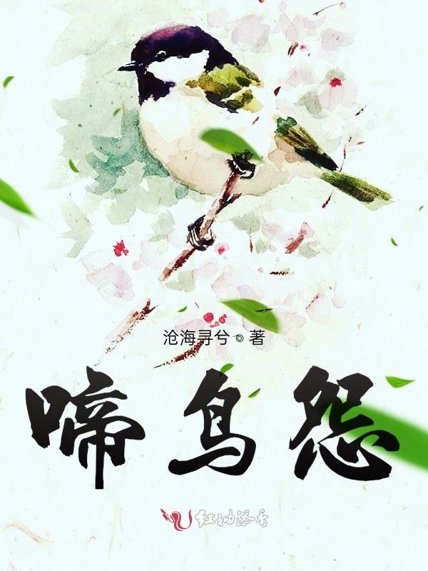 啼鸟怨小说封面