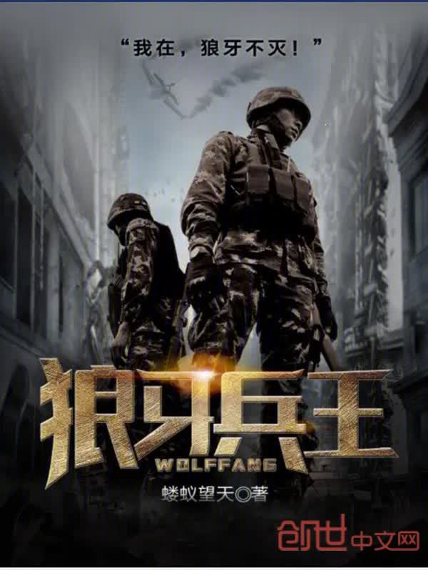狼牙兵王小说封面