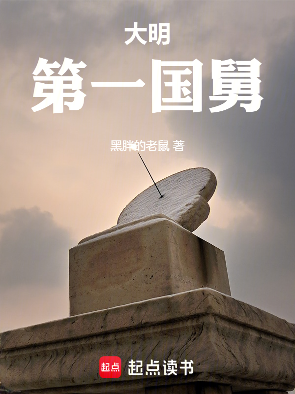 大明第一国舅小说封面