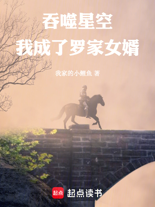 吞噬星空：我成了罗家女婿小说封面