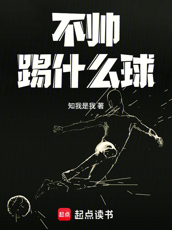 不帅踢什么球小说封面