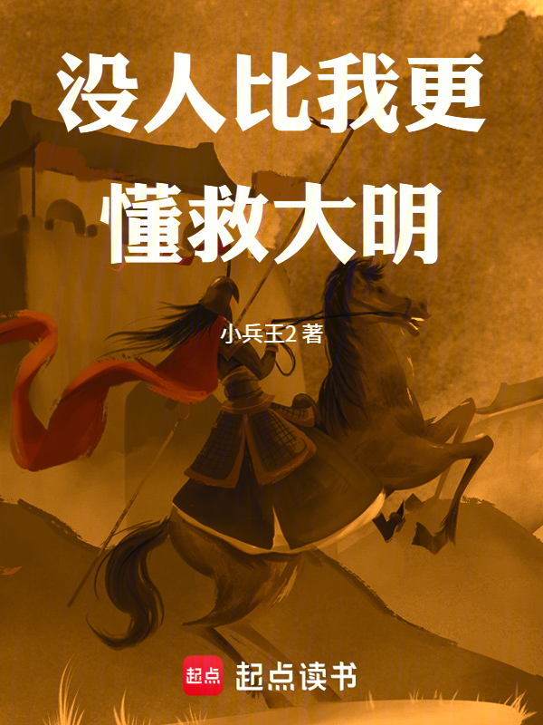 没人比我更懂救大明小说封面