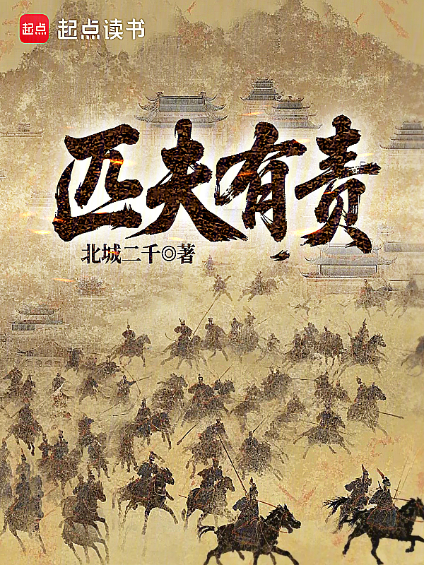 匹夫有责小说封面