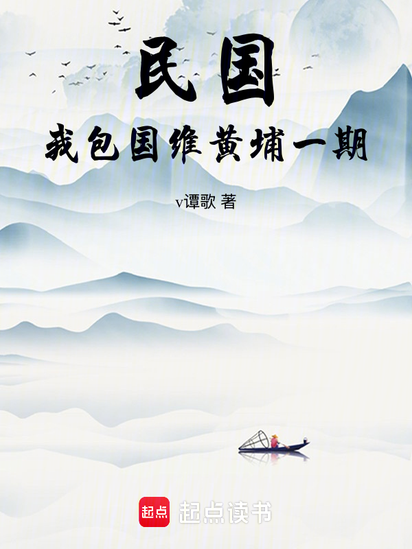 民国，我包国维黄埔一期小说封面