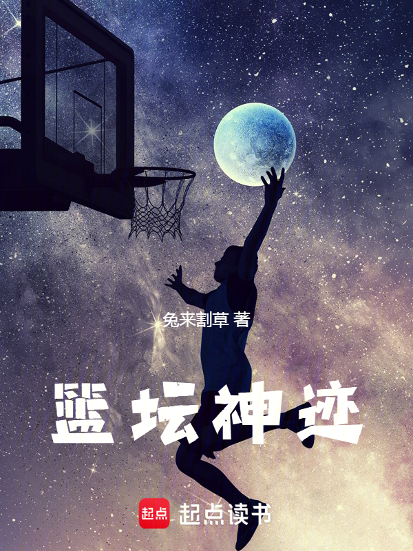 篮坛神迹小说封面