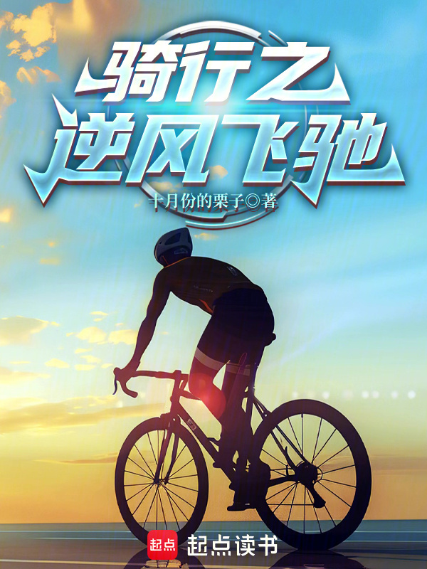 骑行之逆风飞驰小说封面