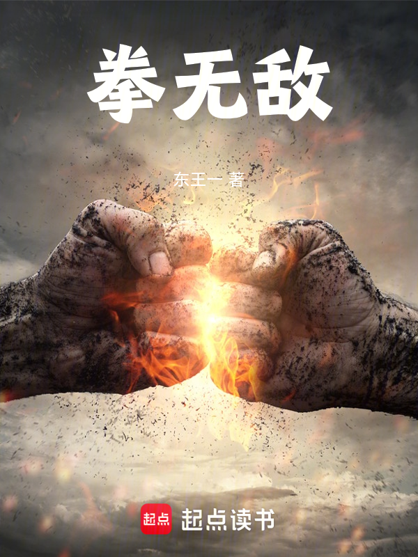 拳无敌小说封面