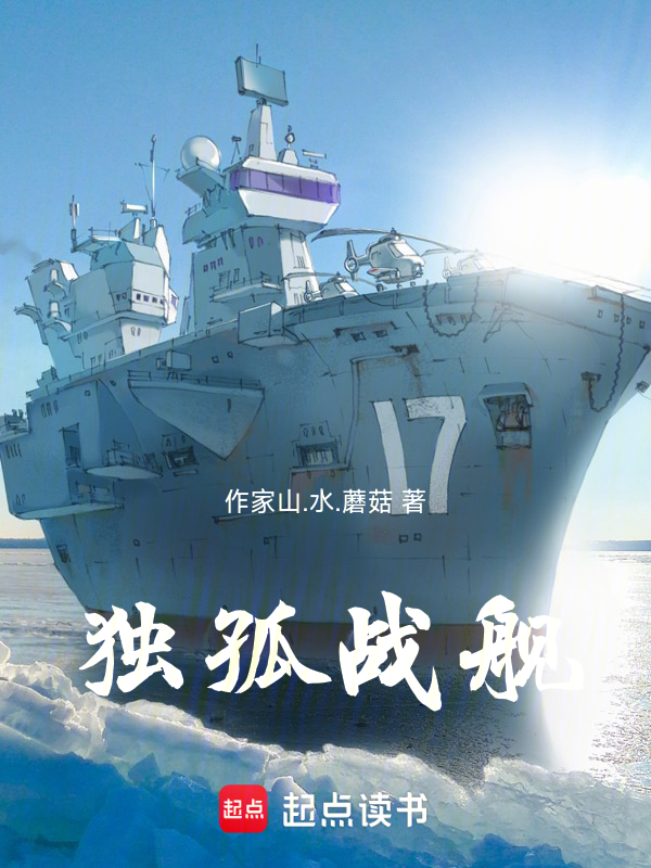 独孤战舰小说封面
