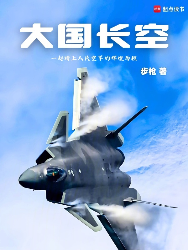 大国长空小说封面