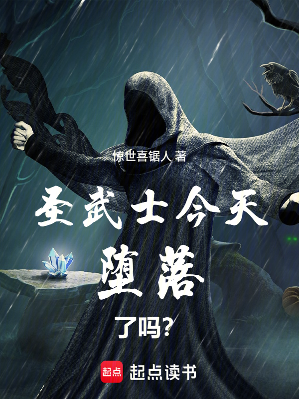 圣武士今天堕落了吗？小说封面
