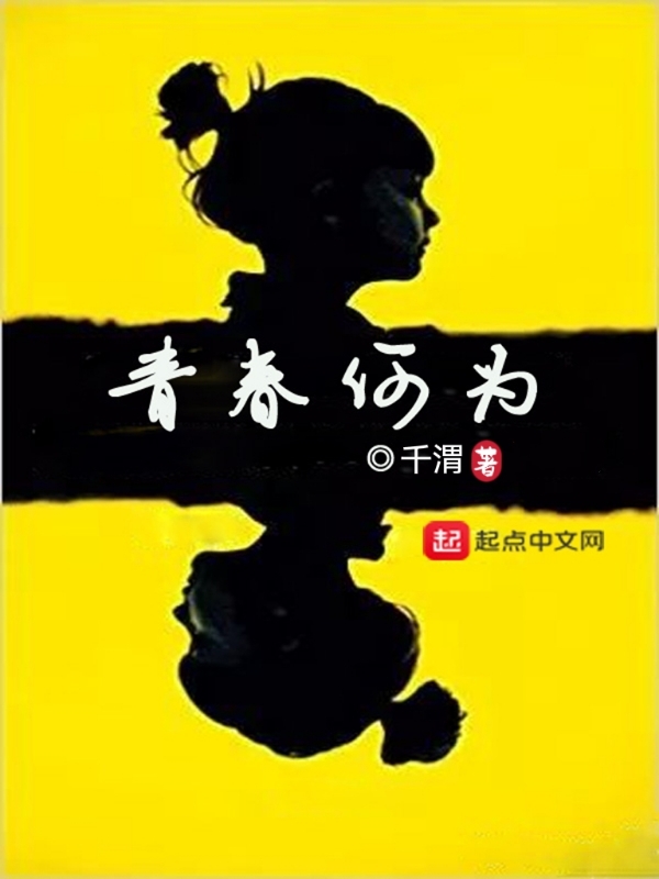 青春何为小说封面