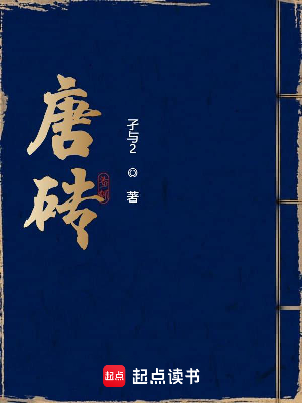 唐砖小说封面