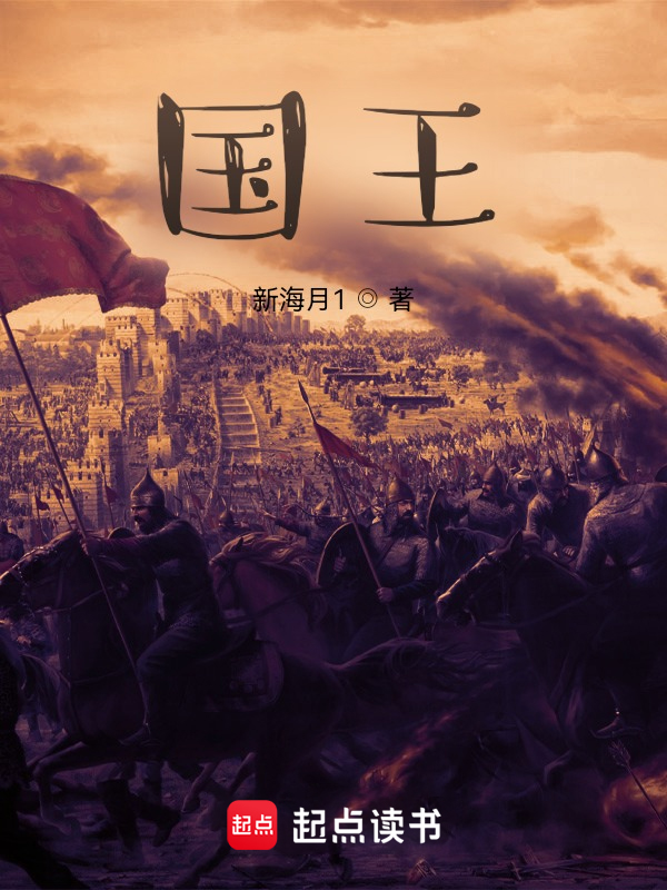 国王小说封面