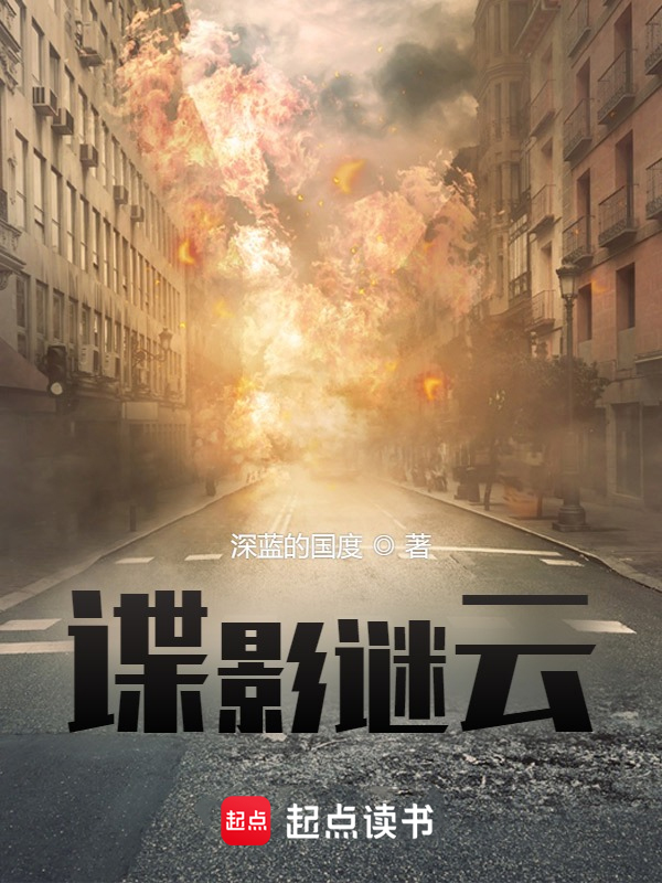 谍影谜云小说封面