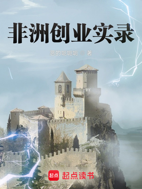非洲创业实录小说封面